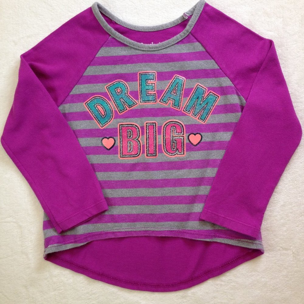 4/$15  Garanimals   2T girls top ; purple